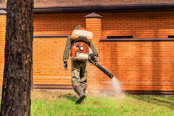 Bed Bug Clearance Verification and Documentation in Sands Point